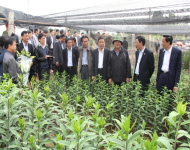 Hội nghị tổng kết hoạt động công đoàn ngành Nông nghiệp & PTNT Hà Nội năm 2013, triển khai nhiệm vụ năm 2014