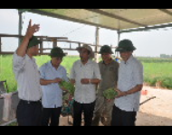 Ký kết hợp tác Phát triển nông nghiệp trên địa bàn Thành phố Hà Nội