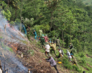 Tăng cường công tác bảo vệ rừng, phòng cháy, chữa cháy rừng