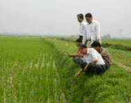 Khuyến nông huyện Thanh Oai kiểm tra mô hình thí điểm  cơ giới hóa nông nghiệp