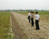 Học viên lớp tập huấn về xây dựng nông thôn mới đi thăm quan điển hình về dồn điền đổi thửa
