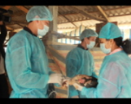 Tập huấn về ứng phó với cúm gia cầm A/H7N9