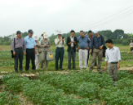 Đoàn cán bộ khuyến nông miền Nam tham quan học tập mô hình tại Hà Nội