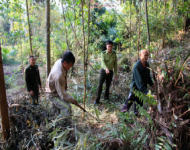 Một số nhiệm vụ bảo vệ, phát triền rừng và phòng cháy, chữa cháy rừng năm 2015