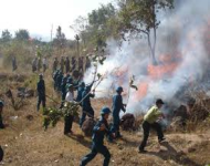 Chủ động triển khai các biện pháp phòng cháy, chữa cháy rừng