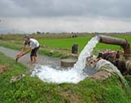 Tổ chức lấy nước phục vụ sản xuất vụ Đông xuân