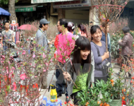 Hà Nội lập các điểm chợ hoa xuân Tết Ất Mùi