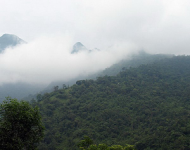 Đề án điều chỉnh diện tích vườn Quốc gia Ba Vì tại tỉnh Hòa Bình