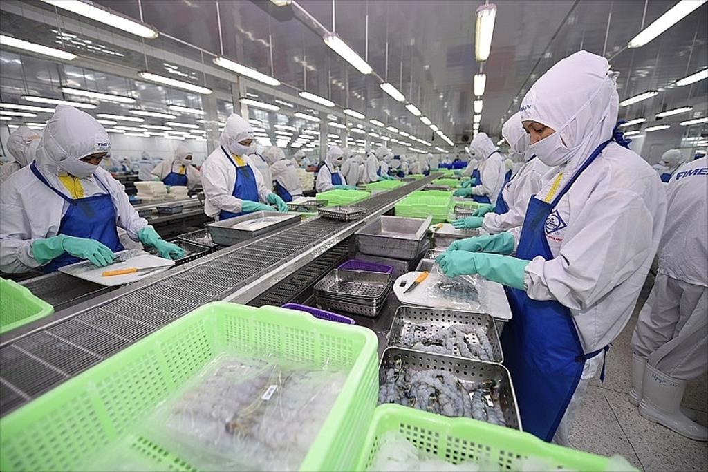 Xuất khẩu tôm của Việt Nam chiếm ngôi đầu khi bán sang Mỹ, Nhật Bản