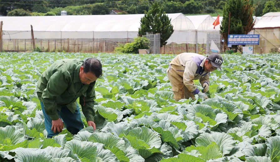 Sơn La: Hướng tới nền nông nghiệp bền vững, cạnh tranh cao