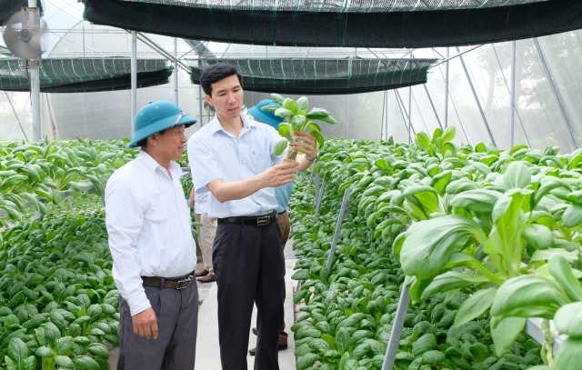 Nông nghiệp Hà Nội thích ứng biến đổi khí hậu
