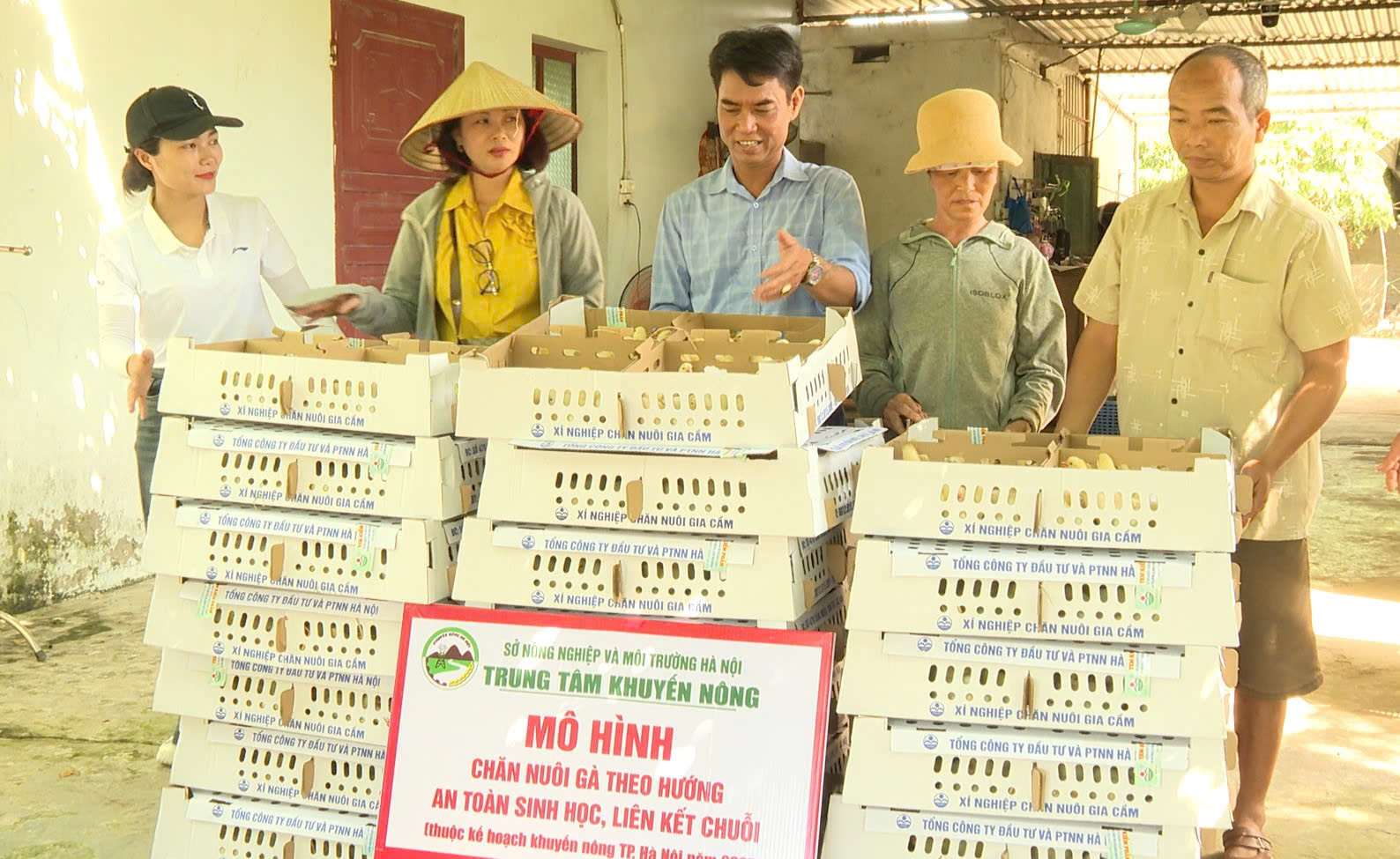 Hỗ trợ gà giống phục vụ các mô hình khuyến nông