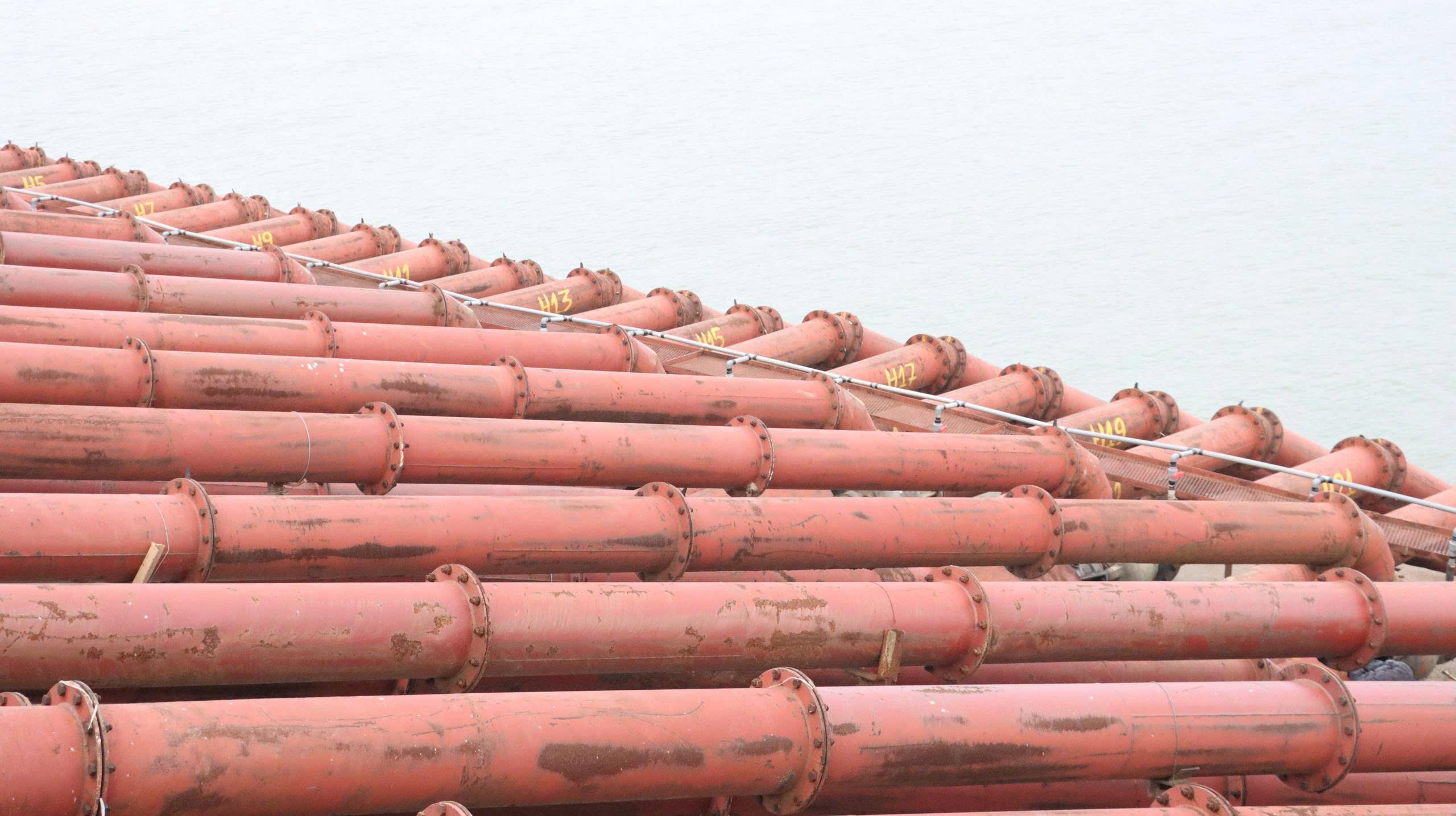 Lịch lấy nước gieo cấy lúa vụ Đông Xuân 2025–2026