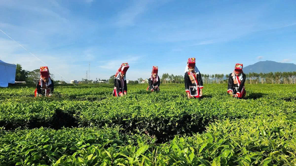 Trồng trọt Quảng Ninh chuyển từ sản xuất theo kinh nghiệm sang quy trình, tiêu chuẩn