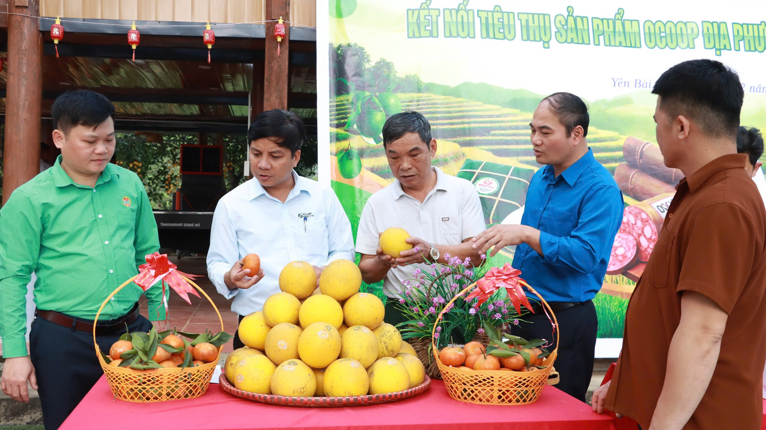 Tăng cường kết nối cung – cầu sản phẩm bưởi hà nội