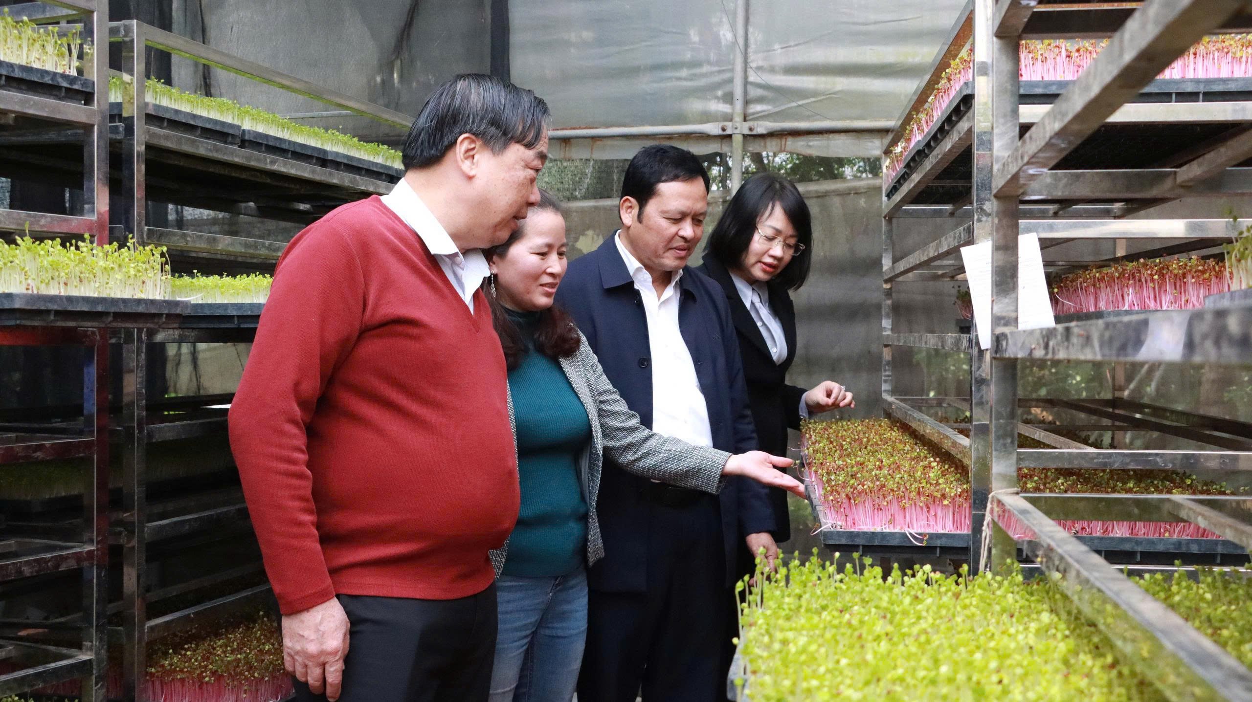 Siết chặt quản lý kiểm dịch, kiểm soát giết mổ động vật, bảo đảm an toàn dịch bệnh và thực phẩm dịp Tết Nguyên đán Bính Ngọ 2026