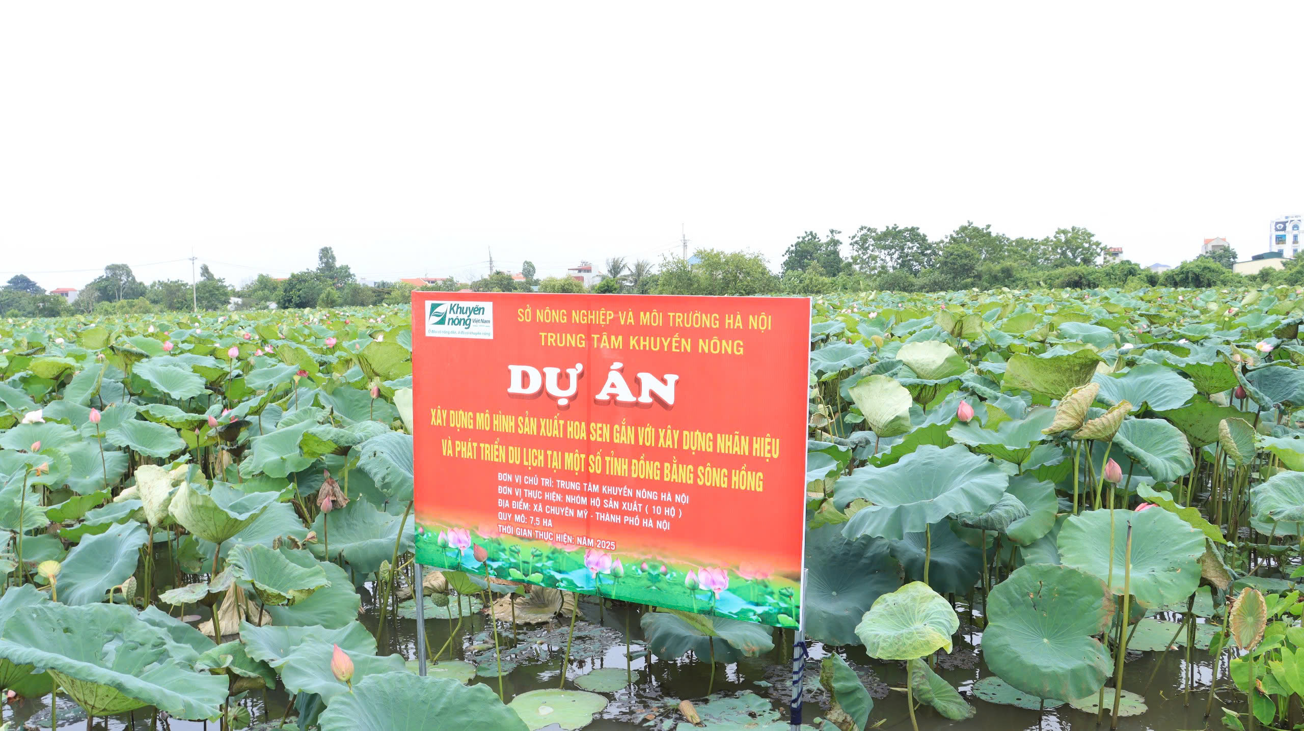 Xã Chuyên Mỹ xây dựng chuỗi du lịch nông nghiệp – du lịch làng nghề