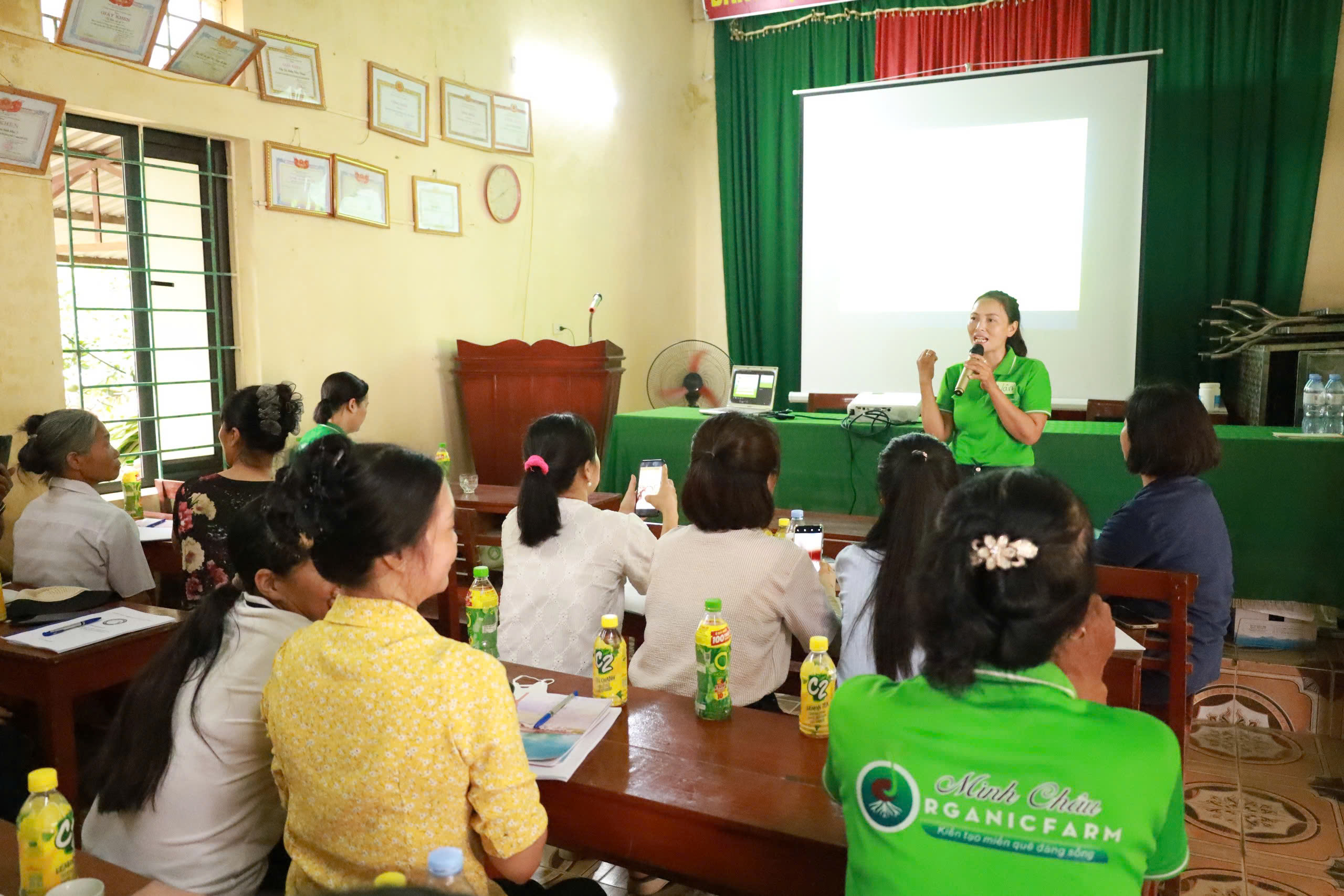 Góp sức xây dựng nông thôn mới nâng cao: Người phụ nữ “xanh” ở xã đảo  Minh Châu