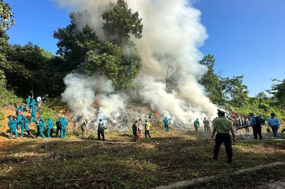 Diễn tập kỹ năng phòng, chống cháy rừng