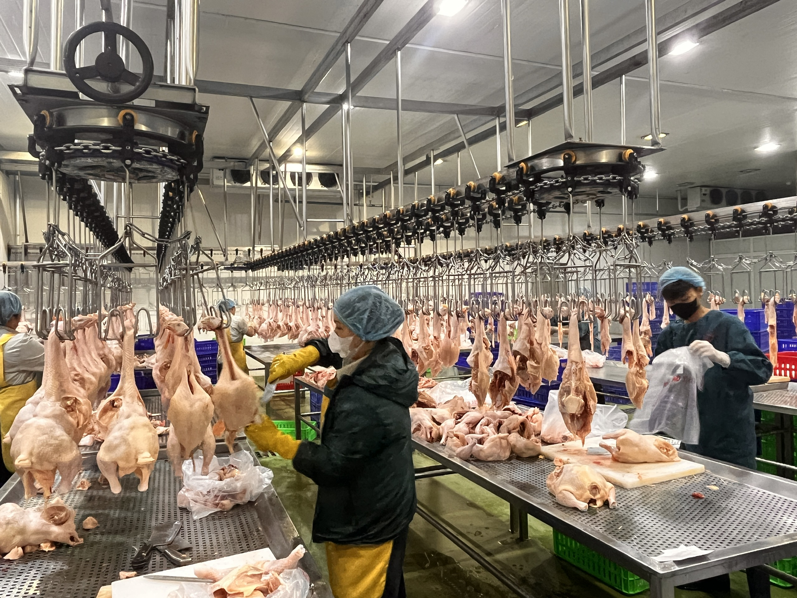 Hà nội siết chặt quản lý giết mổ, kinh doanh sản phẩm động vật để bảo đảm an toàn thực phẩm