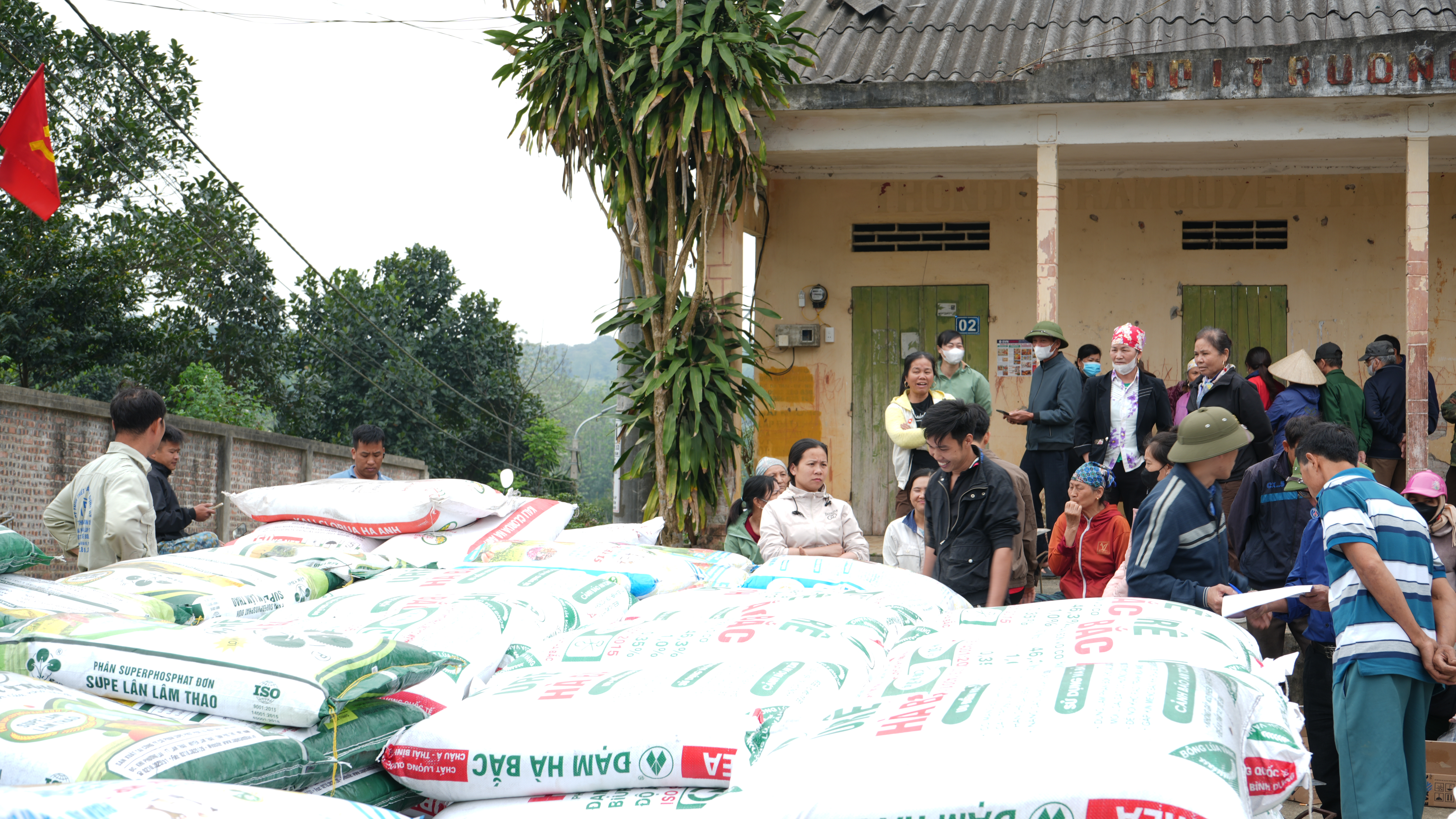 Giao vật tư mô hình khuyến nông sản xuất chè theo tiêu chuẩn VietGAP