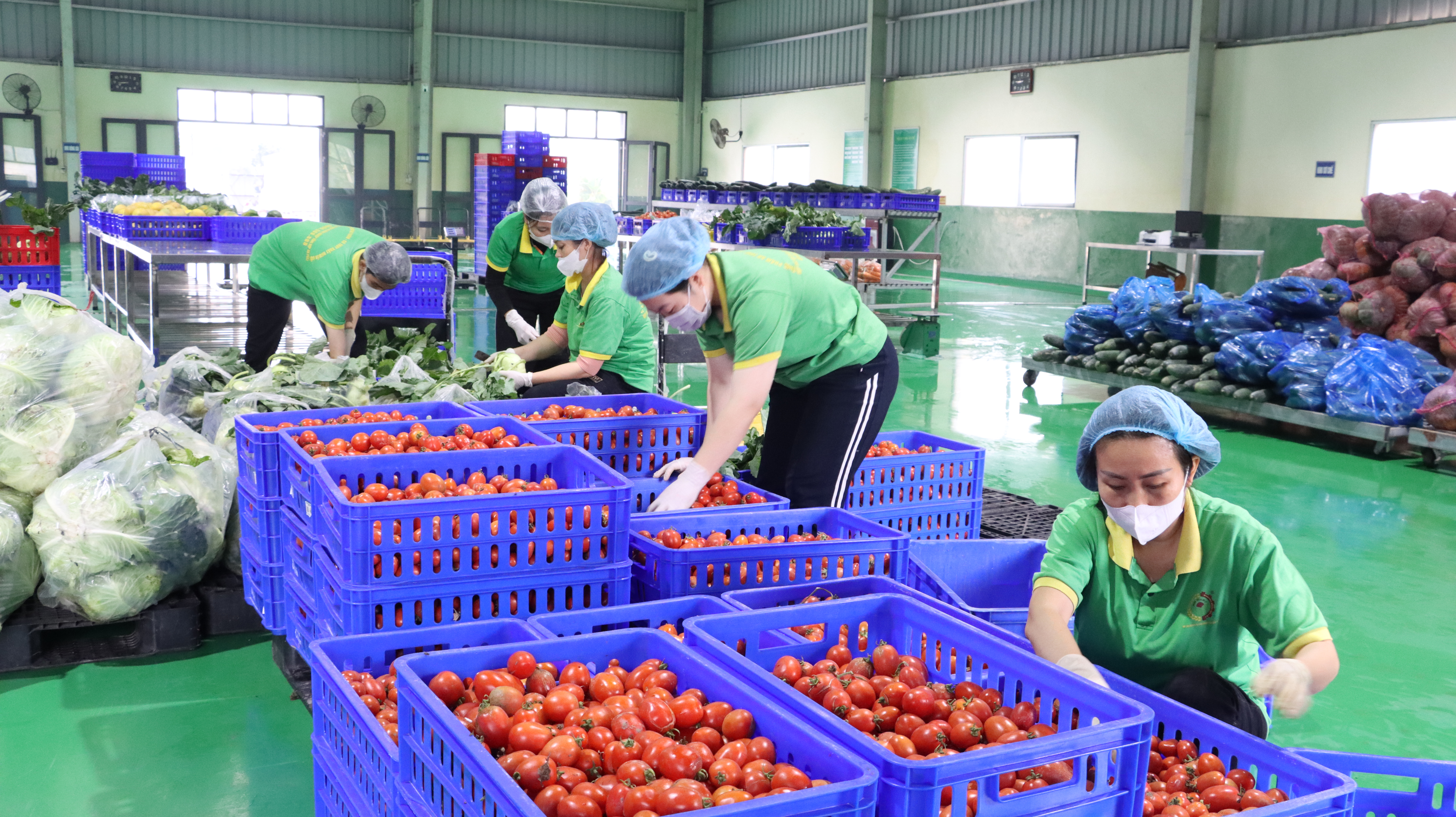 Tăng cường giám sát việc chấp hành các quy định của pháp luật về ATTP trên địa bàn thành phố Hà Nội