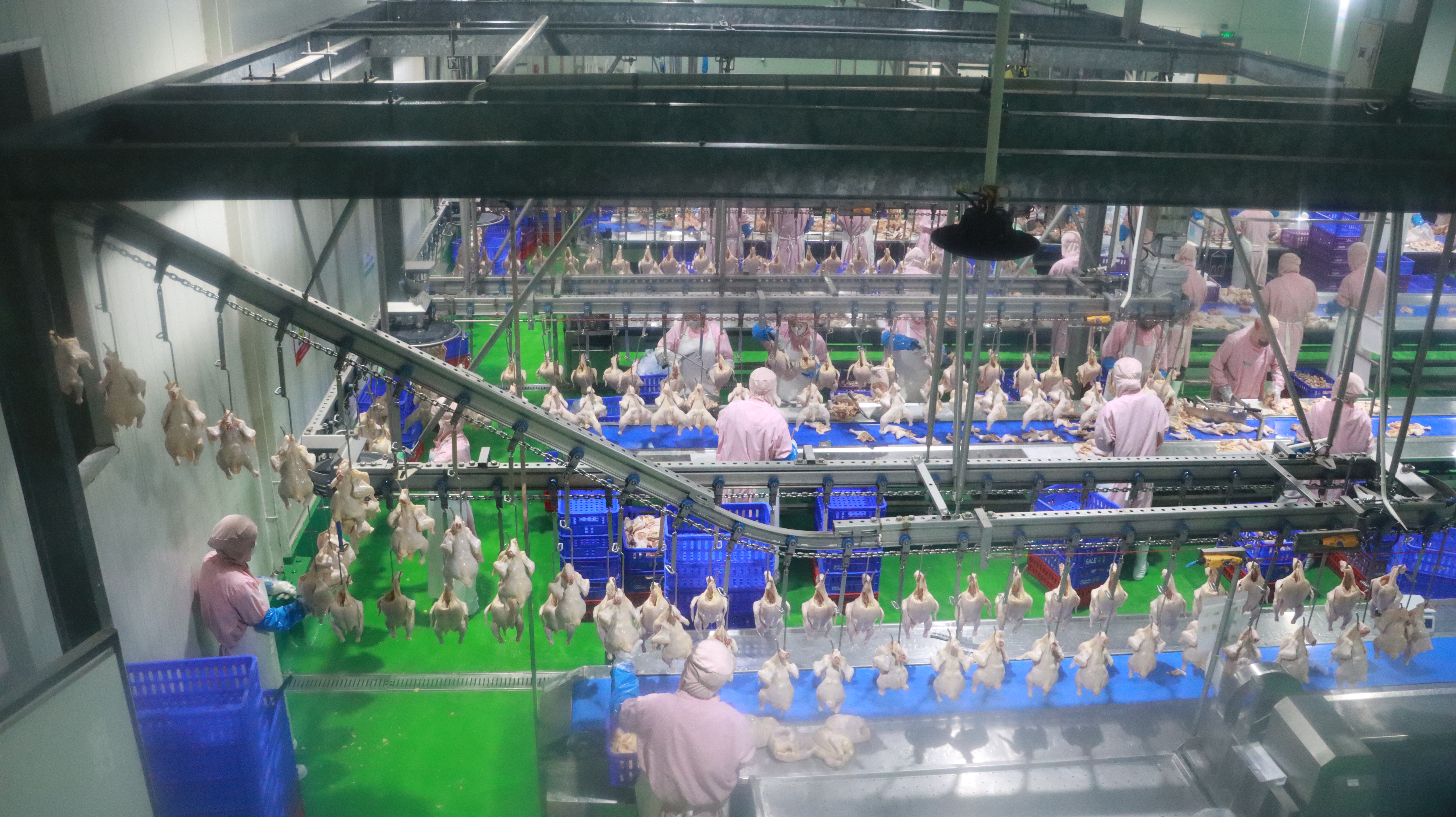 Hỗ trợ cơ sở giết mổ gia súc, gia cầm tập trung