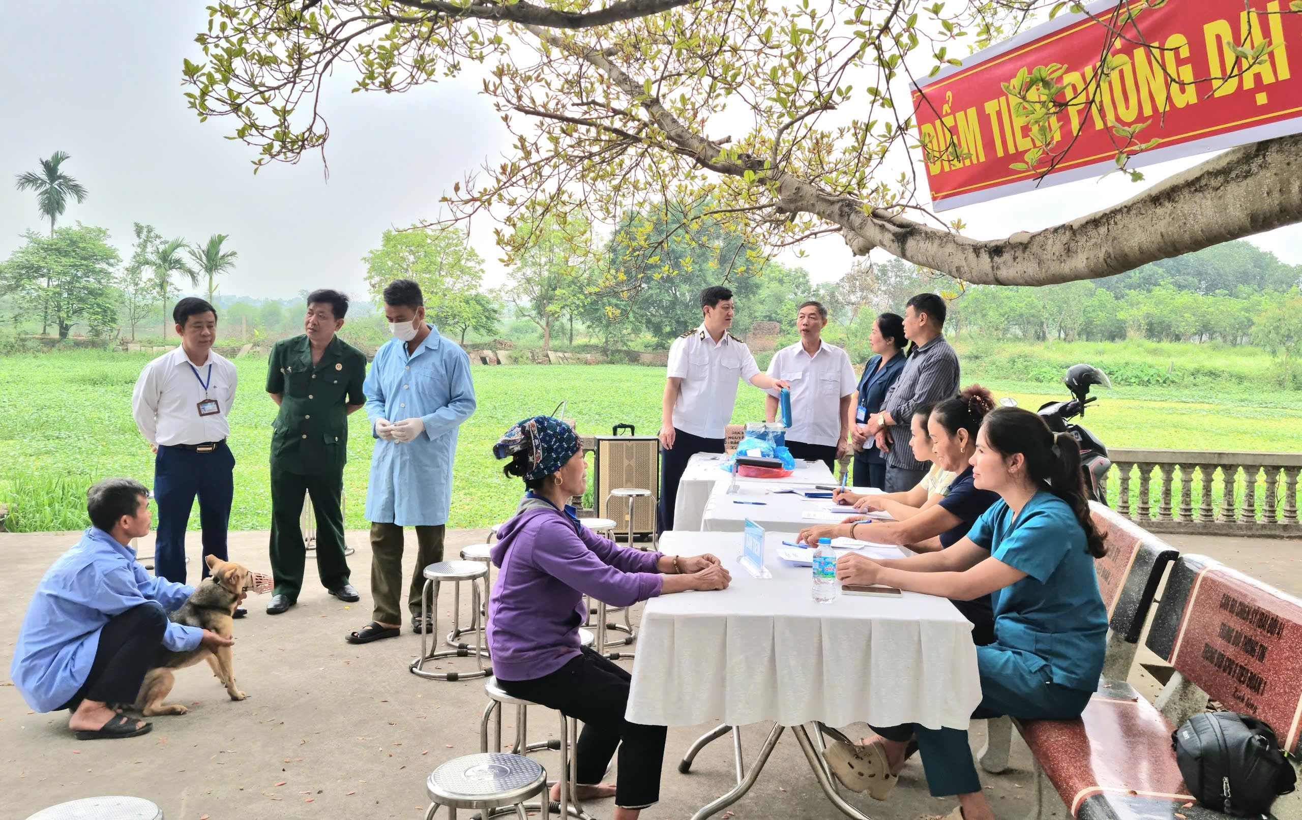 Kiểm tra công tác tiêm vắc xin phòng dịch bệnh cho đàn vật nuôi tại xã Đa Phúc