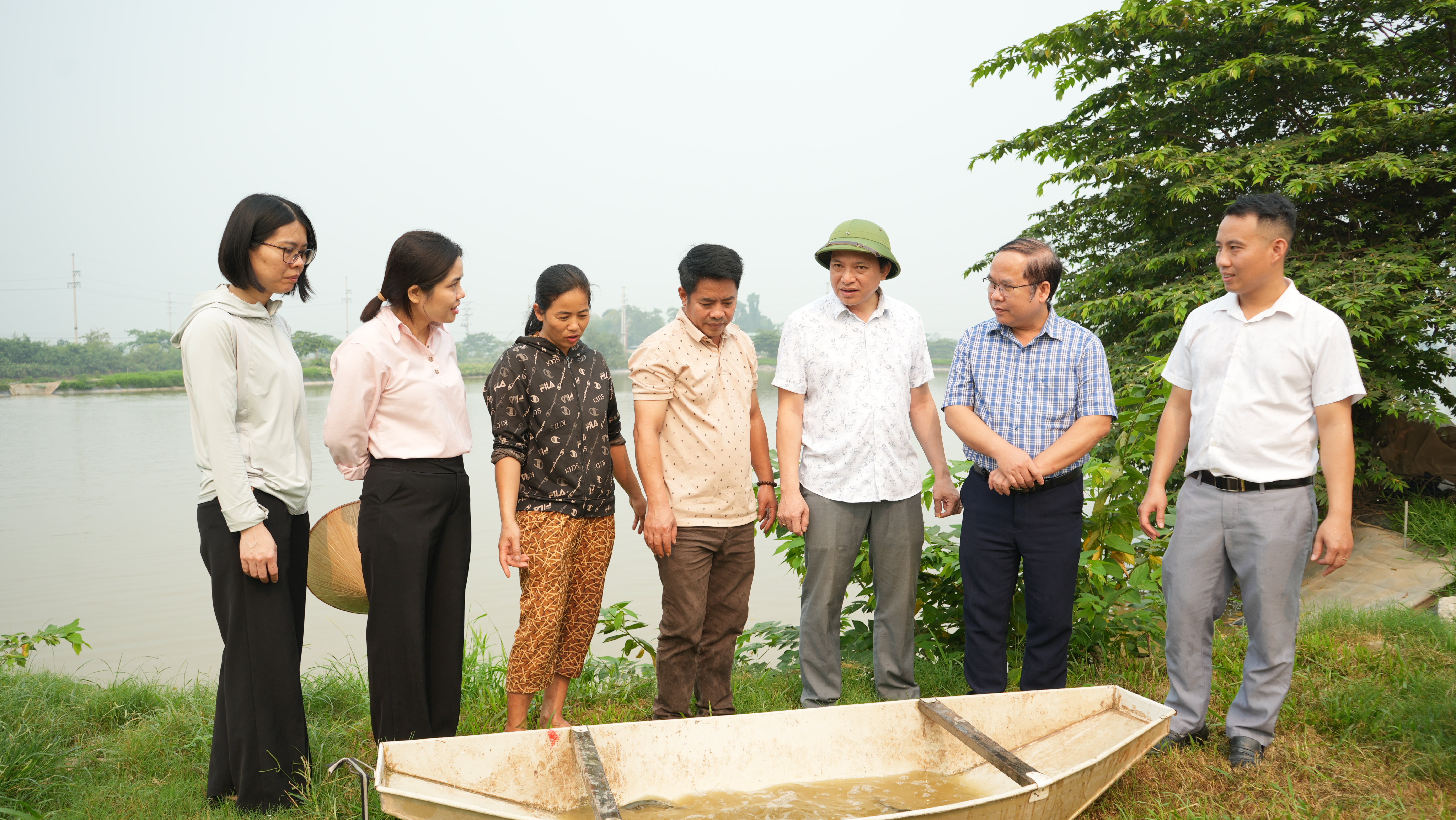 Trung tâm khuyến nông hà nội cấp giống cho nông dân tham gia mô hình lúa – cá năm 2026