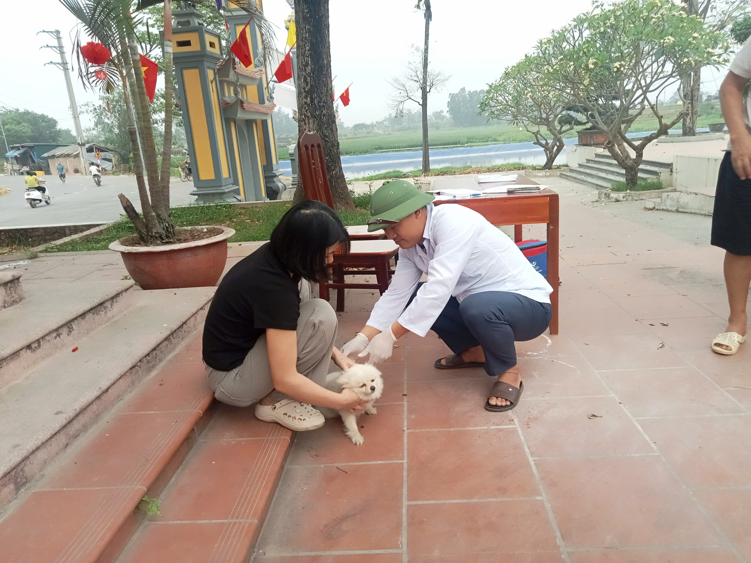 Xã Cổ Đô tổ chức tiêm phòng vắc xin dại cho đàn chó, mèo