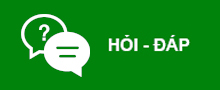 Hỏi Đáp
