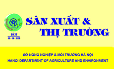 Sản xuất và thị trường