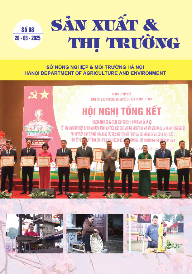 Bản tin Sản xuất & Thị trường số 08 năm 2025