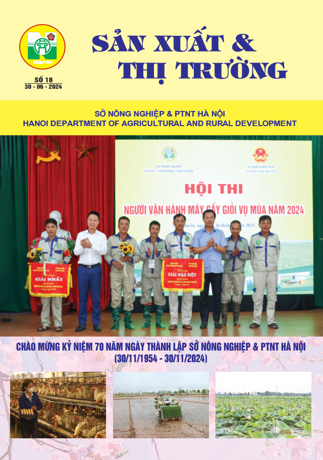 Bản tin Sản xuất & Thị trường số 18 năm 2024