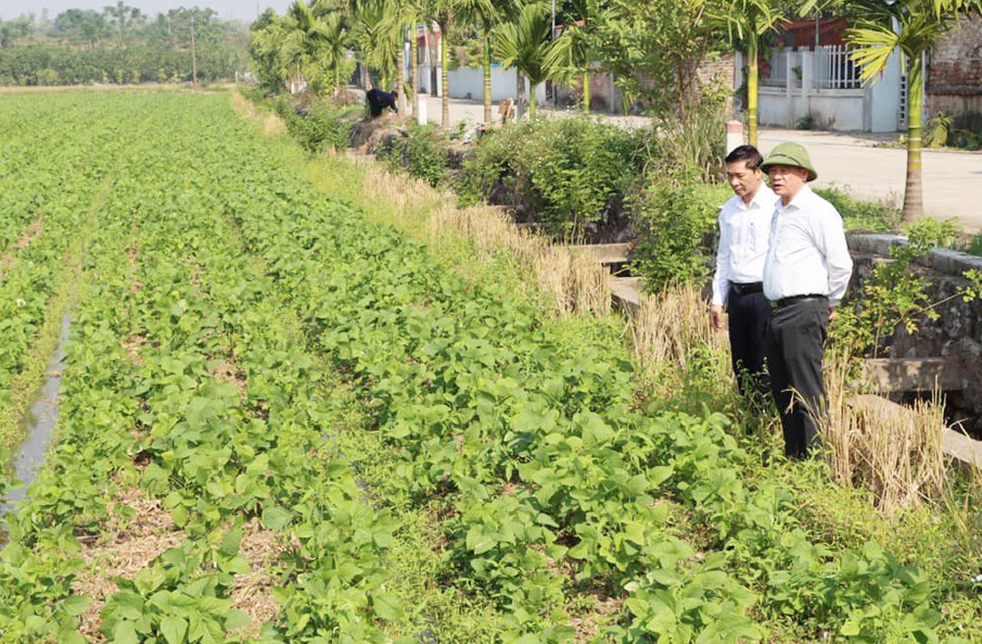 Hiệu quả từ những mô hình nông nghiệp mới ở Phú Xuyên