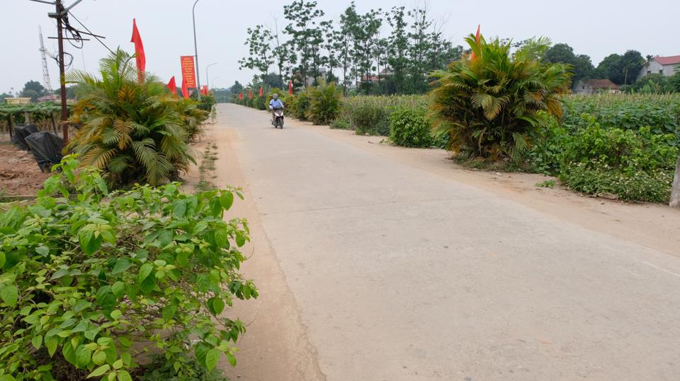 Huyện Phúc Thọ: Sớm đưa xã Võng Xuyên về đích nông thôn mới nâng cao