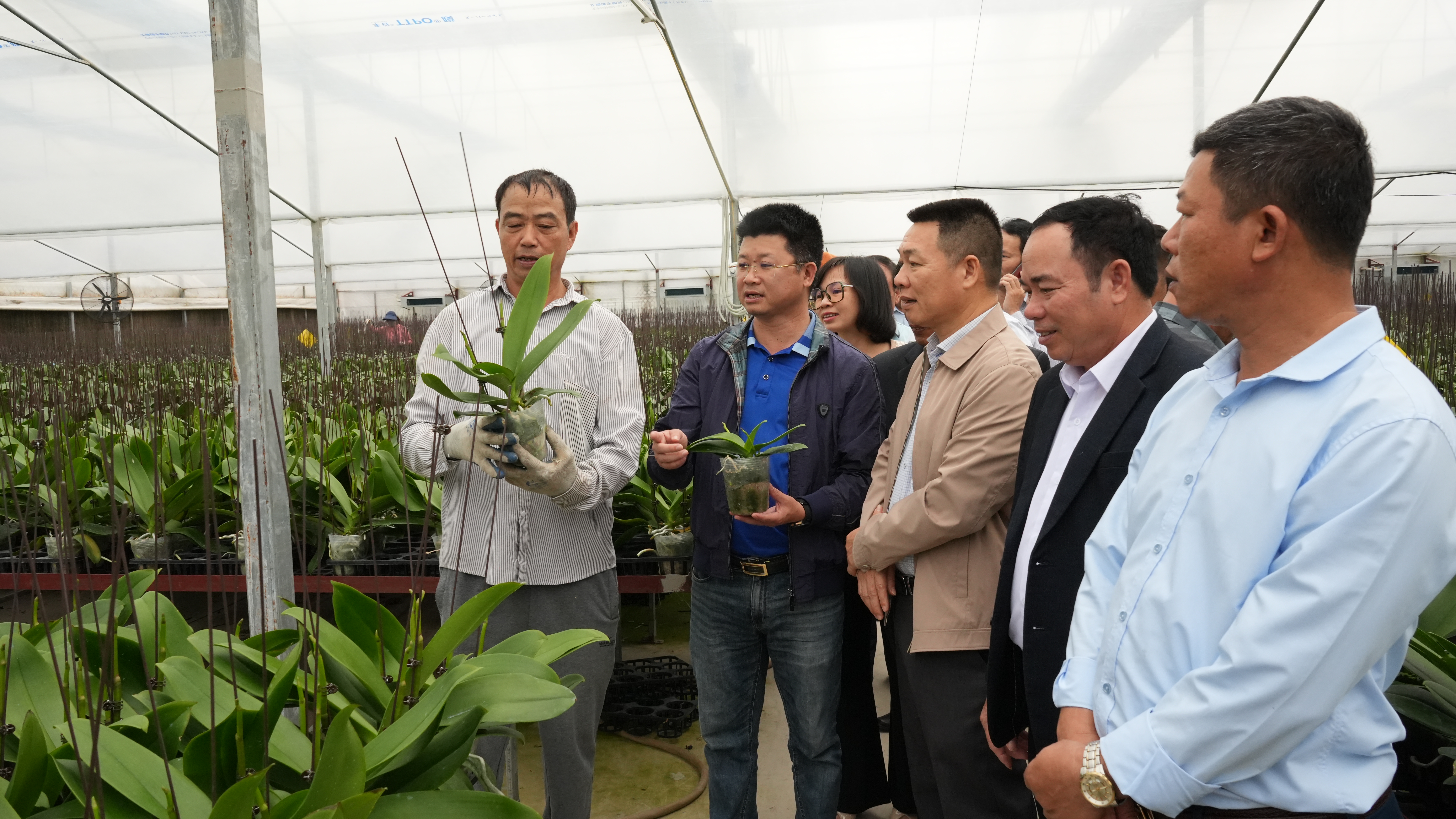 Trung tâm Khuyến nông Hà Nội và Hà Tĩnh tăng cường hợp tác, chia sẻ kinh nghiệm hướng tới nông............