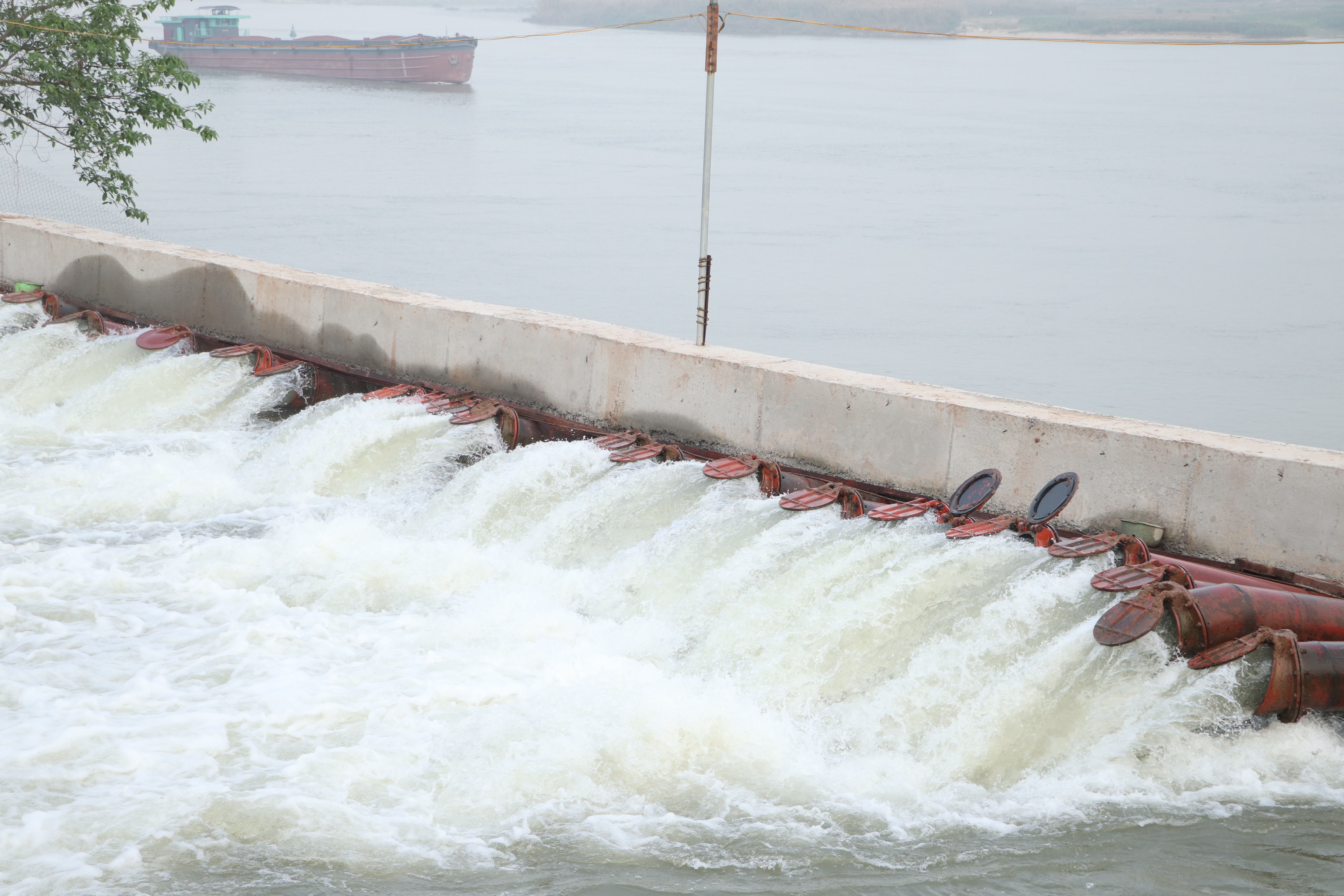 Chủ động phòng, chống rét đậm, rét hại và triển khai vụ xuân 2026