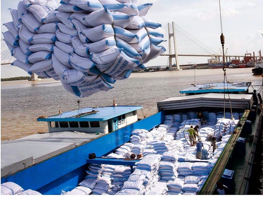 Mở rộng cơ hội xuất khẩu gạo chất lượng cao sang EU nhờ EVFTA