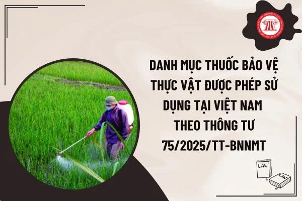 Văn bản quy định mới trong quản lý giống cây trồng, phân bón và thuốc bảo vệ thực vật