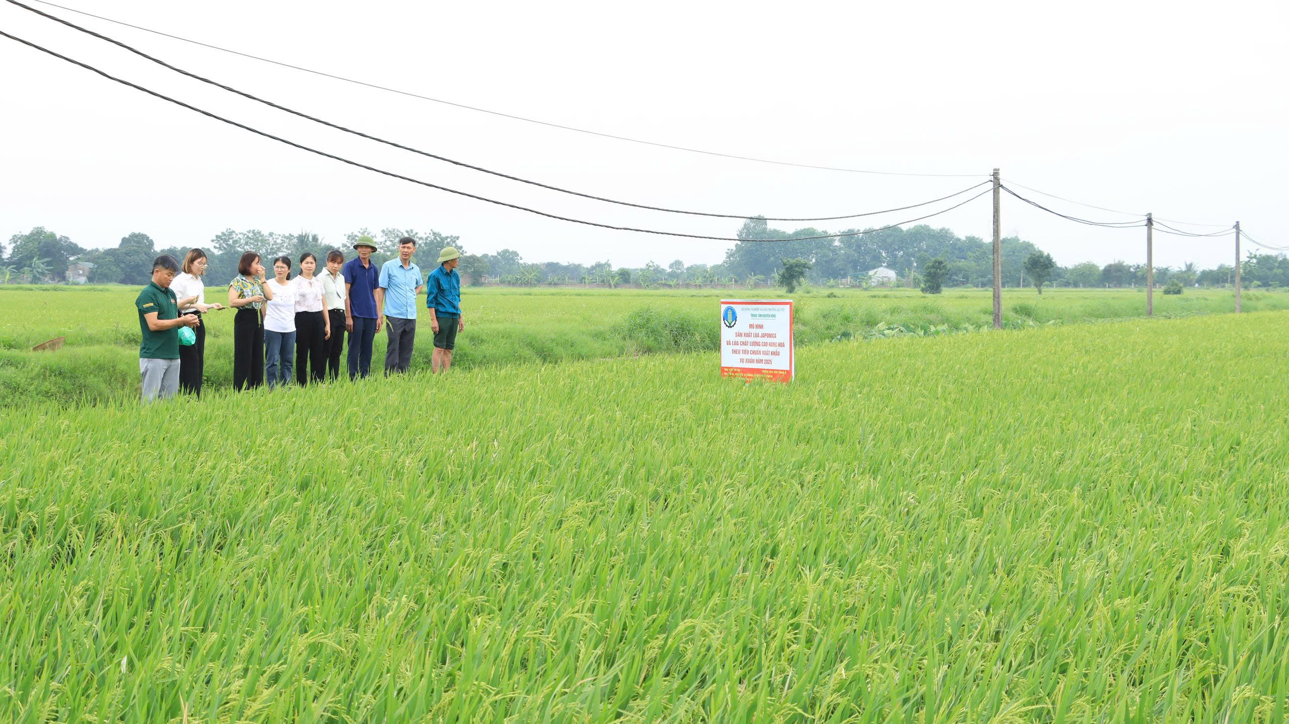 Thành phố tổ chức lại Trung tâm Khuyến nông Hà Nội