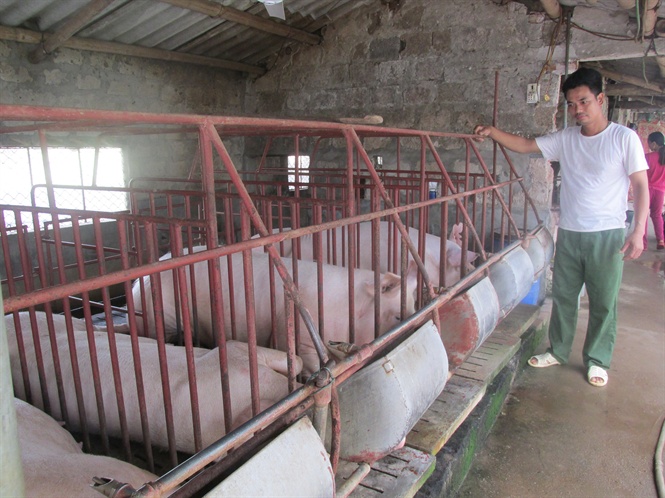 Hưng Yên: Biến ruộng trũng thành trang trại VAC trù phú