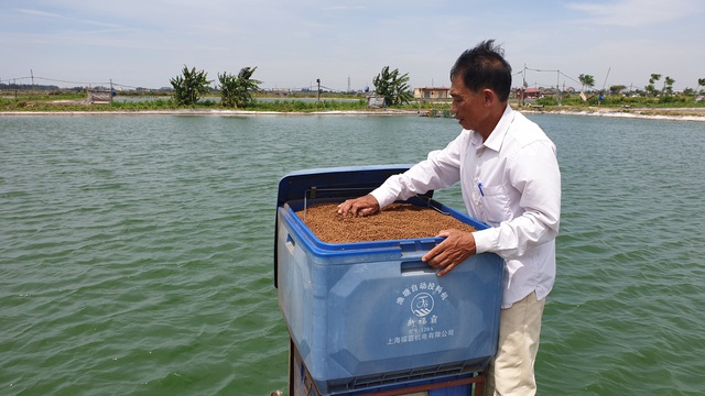 Nam Định: Nuôi cá trắm khủng bằng thảo dược, lão nông bỏ túi tiền tỷ