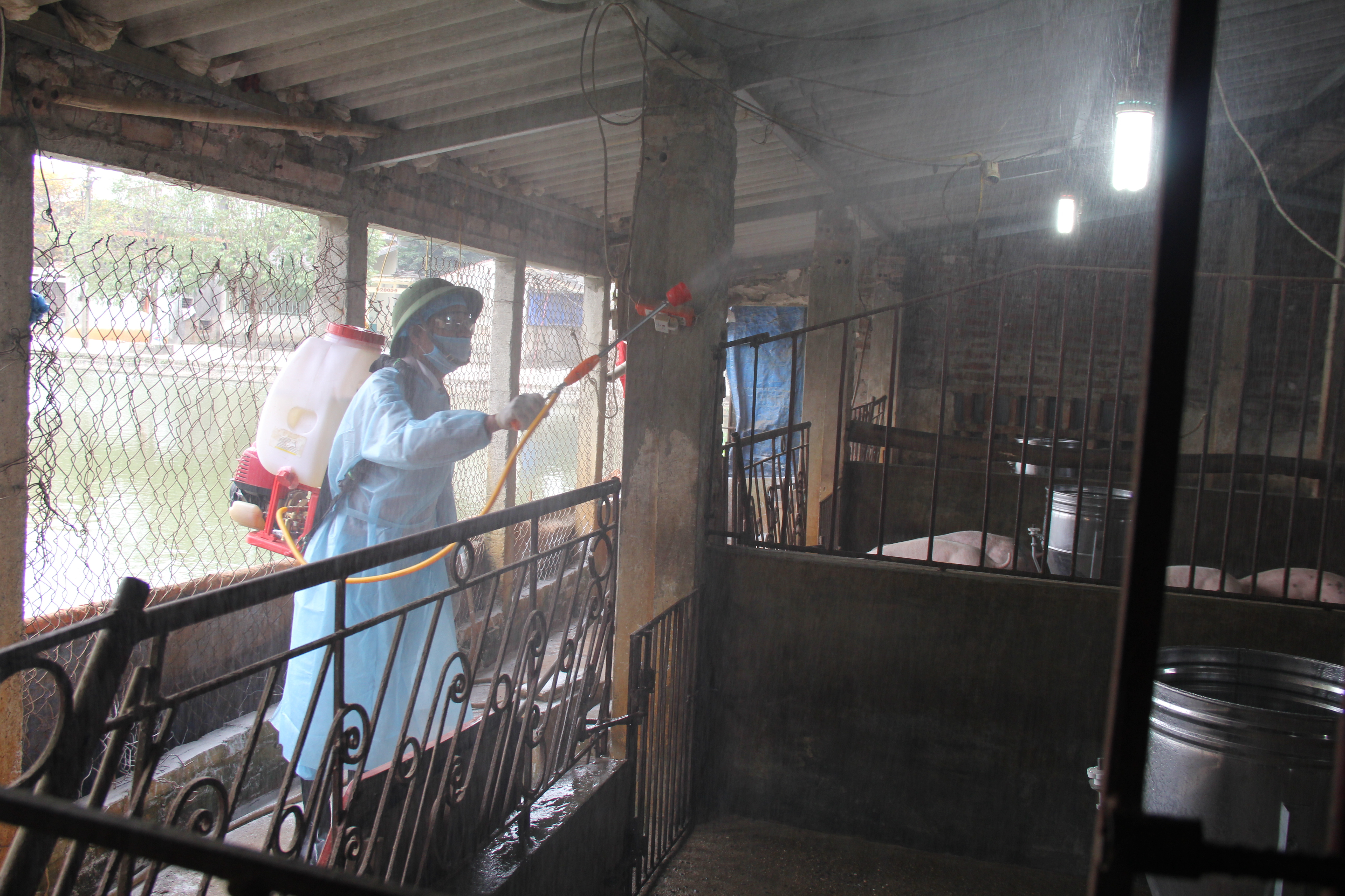 Kiểm soát dịch bệnh vụ Xuân – Hè năm 2026