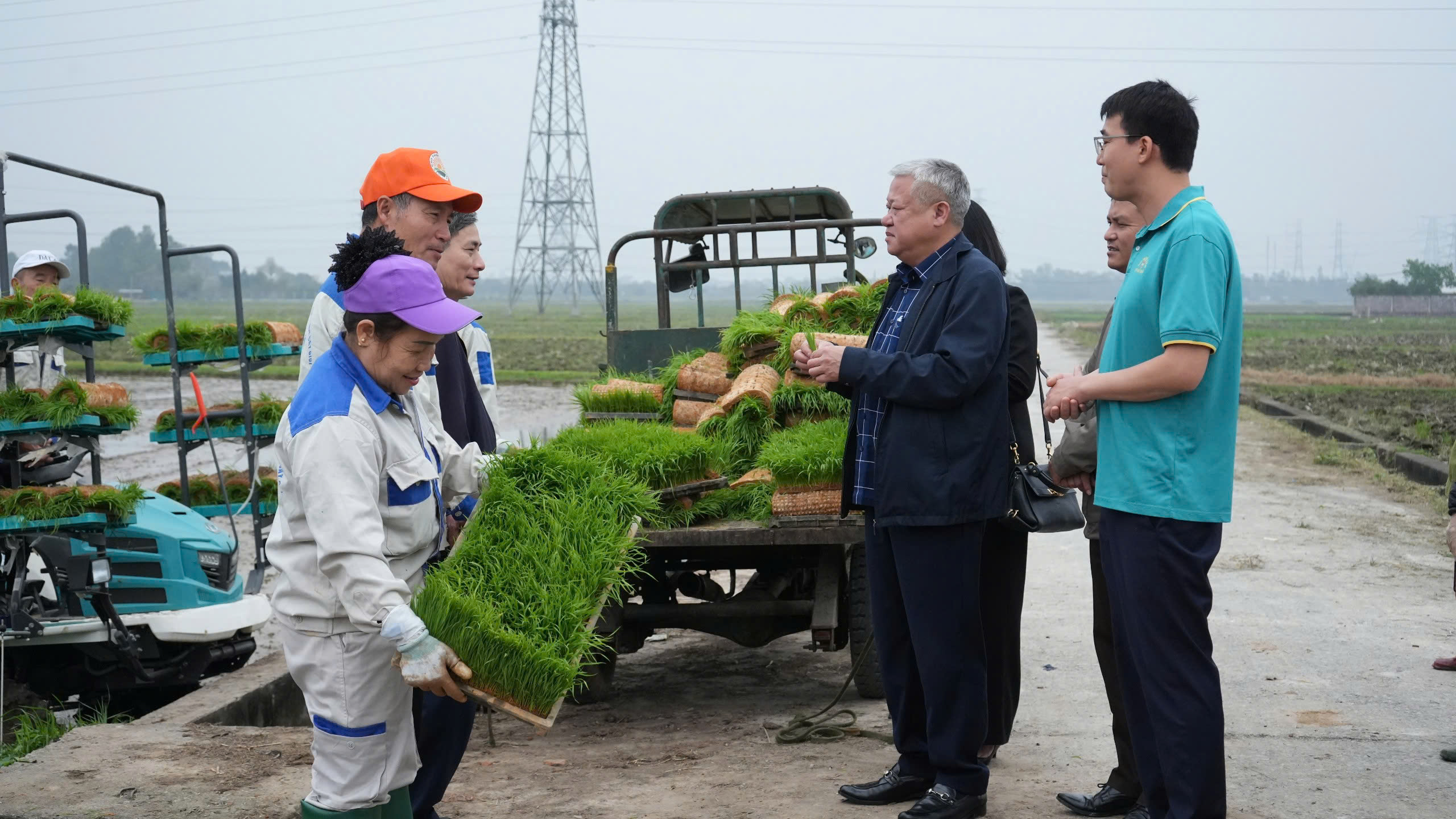 Lãnh đạo Sở Nông nghiệp và Môi trường xuống đồng kiểm tra, động viên nông dân sản xuất vụ Xuân...
