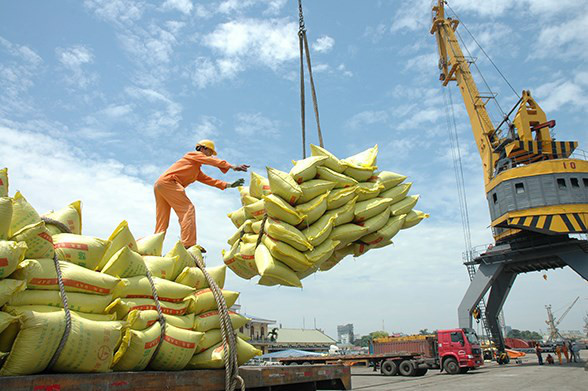 Xuất khẩu gạo sẽ tăng mạnh từ tháng 3