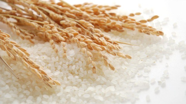 Thái Lan ‘chốt’ xuất khẩu gạo ở mức 6 triệu tấn