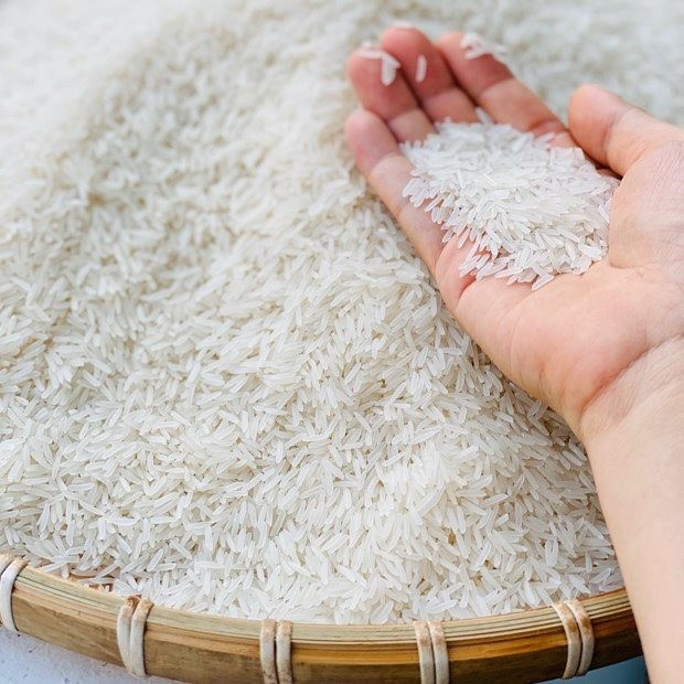 Năm 2023, xuất khẩu gạo Việt Nam đạt trên 4 tỷ USD là 