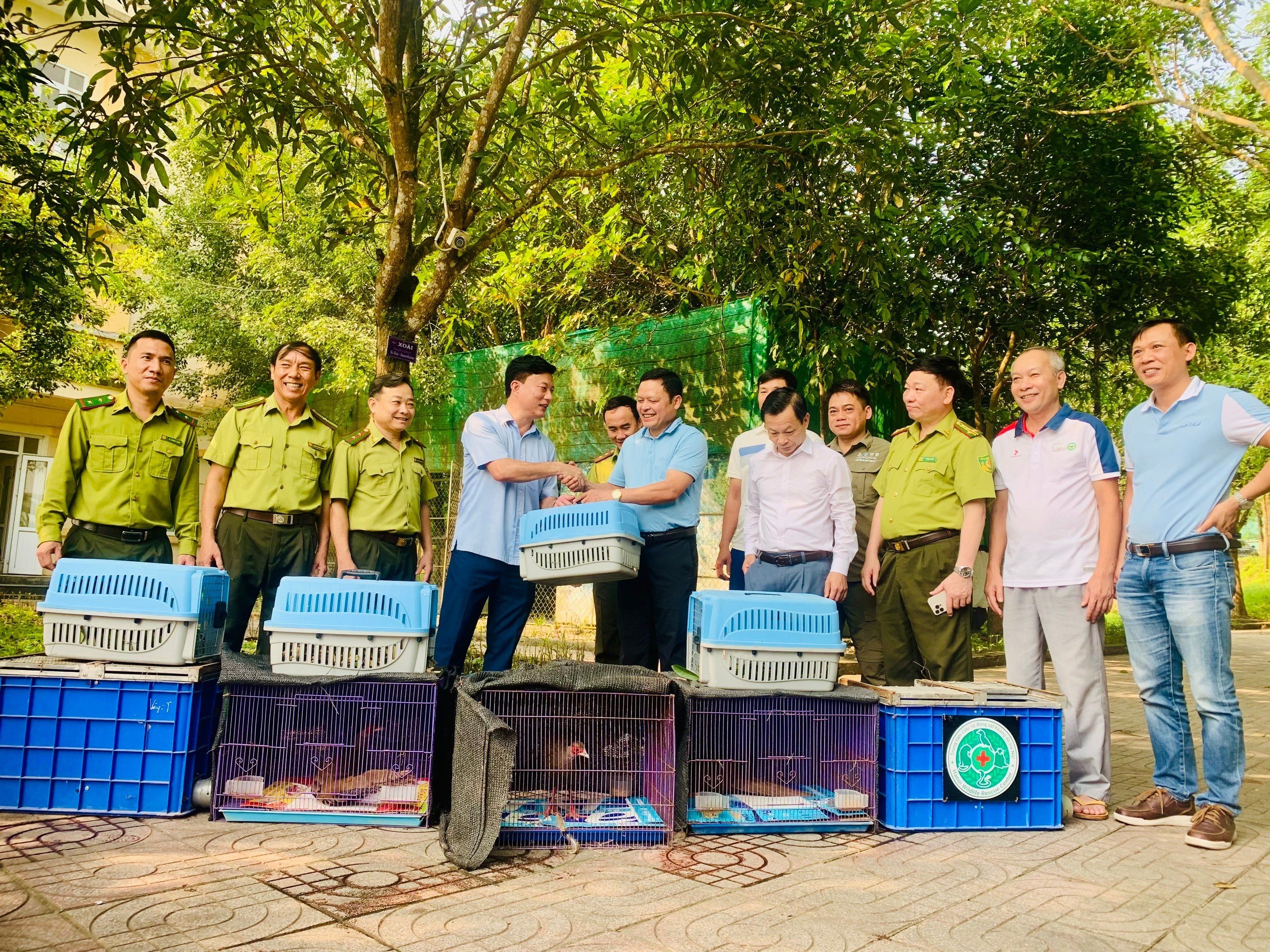 Sở NN&PTNT Hà Nội bàn giao 150 cá thể động vật hoang dã cho Vườn Quốc gia Vũ Quang (Hà...