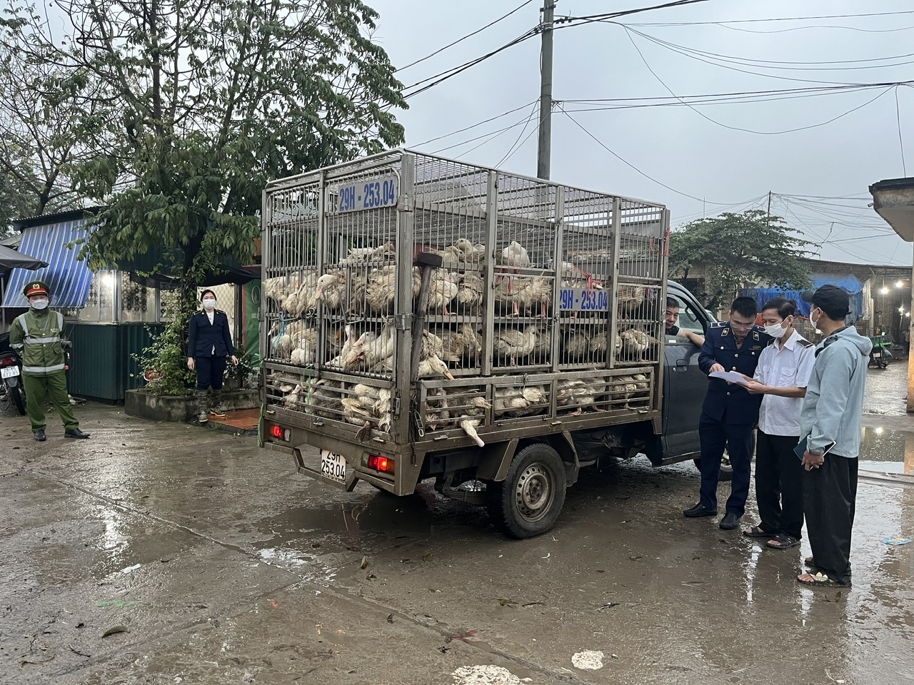 Giảm một số khoản phí, lệ phí nhằm tiếp tục tháo gỡ khó khăn, hỗ trợ cho lĩnh vực chăn nuôi, thú y, thủy sản